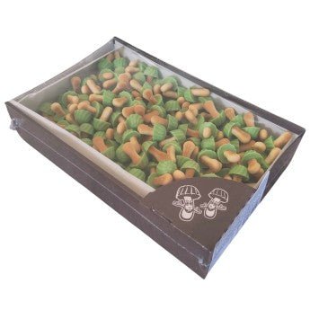 Biscuits Champignons pistache (lot de 10)