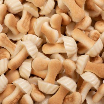 Champignons au chocolat blanc ( lot de 10)