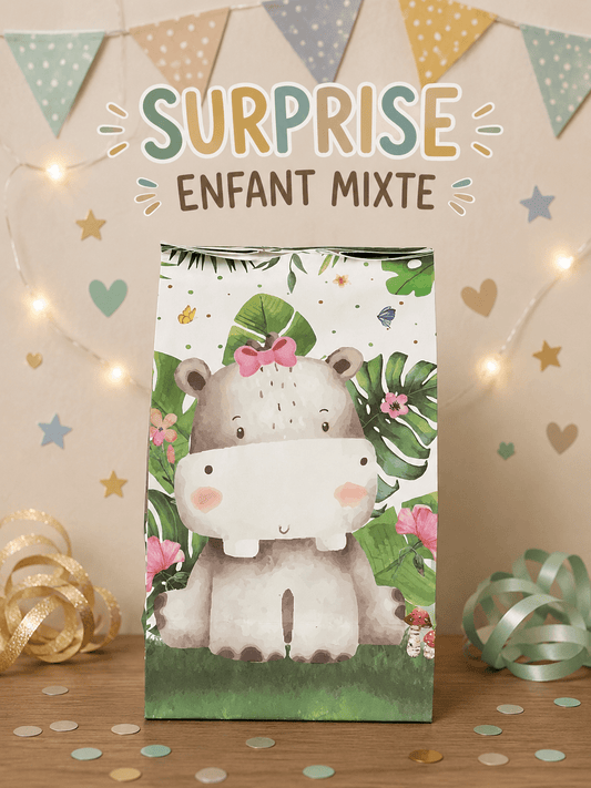 Petite Pochette surprise enfants mixte (hippopotame)