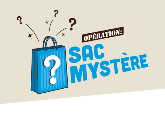 Sac mystère adultes